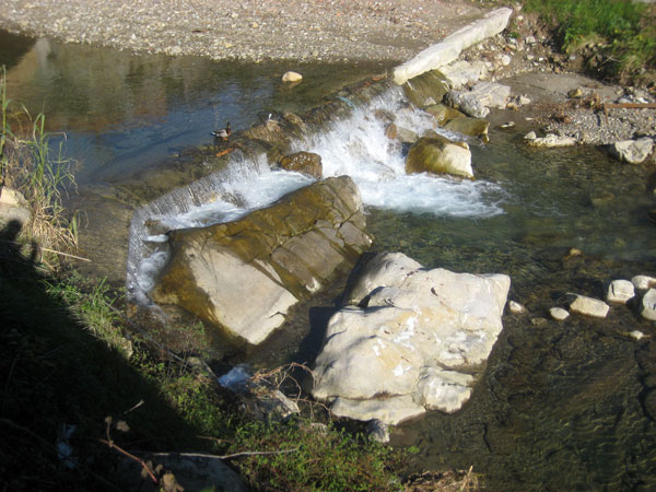 Progetto per la sistemazione idraulica del torrente Verbone